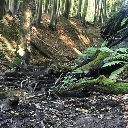 Homelig Altstadt Ferienwohnungen Sassnitz Fewo 4 외부 사진